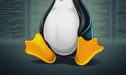 Featured image of post Linux